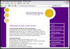 ontwerp website